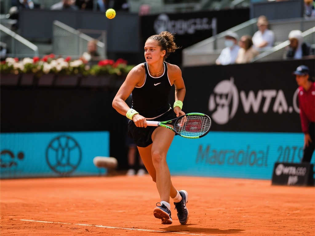 Xingkong体育介绍